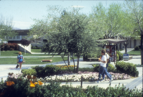 Slide of Archie C. Grant Hall and Maude Frazier Hall, University of Nevada, Las Vegas, circa 1980s