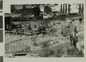 Photograph of the Xeriscape Demonstration Garden, Las Vegas, circa 1970s-1980s