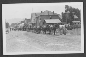 Postcard of freight team, Winnemucca, Nevada, 1913