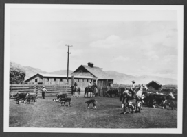 Photograph of Dressler Ranch, Douglas County, Nevada, circa early to mid 1900s