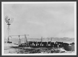 Photograph of water development, White Pine County, Nevada, circa early to mid 1900s