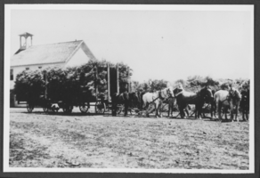 Photograph of a sagebrush wagon, Tuscarora, Nevada, 1906