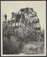 Photograph of water wheel on the Muddy River, Nevada, circa late 1930s - early 1940s
