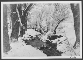 Photograph of snow at Stewart Ranch, Las Vegas, January 10, 1930