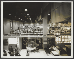 Photograph of Las Vegas Convention Center, Las Vegas, 1966