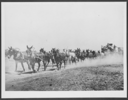 Photograph of a freighting team, Las Vegas, 1905-1906