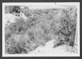 Photograph of Panaca, Nevada, circa 1972