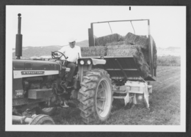 Photograph of a man hauling hay, Panaca, Nevada, circa 1970s