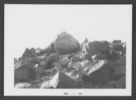 Photograph of petroglyphs, Southern Nevada, December 1964