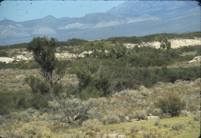 Slide of Stump Springs, Nevada, circa 1960s - 1983