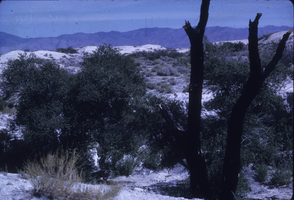 Slide of Le Pleu de Roche, Nevada, circa 1960s - 1983