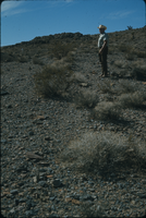 Slide of John Lytle, Old Spanish Trail, Nevada, circa 1960s - 1983