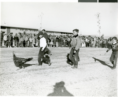 Photograph of the annual "Turkey Trot" at the Sands Hotel, Las Vegas, circa mid 1950s - early 1960s