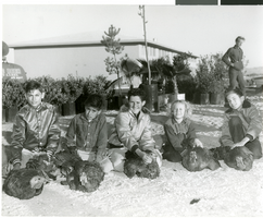 Photograph of children and turkeys at the Sands Hotel, Las Vegas, circa mid 1950s to early 1960s