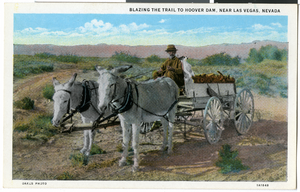 Postcard of a man with two burros, Hoover Dam, circa 1930s