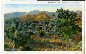 Postcard of Arrowhead Trails, Nevada, circa 1930s