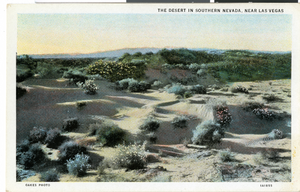 Postcard of a desert scene, Southern Nevada, circa 1930s
