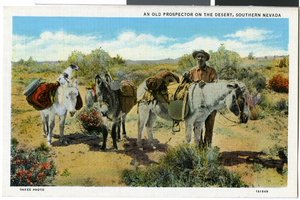 Postcard of an old prospector in the desert, Southern Nevada, circa 1930s