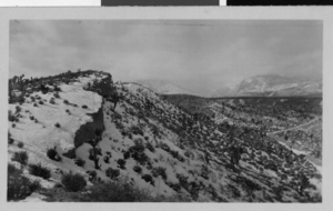 Photograph of the road to Mt. Charleston, Nevada, circa 1925