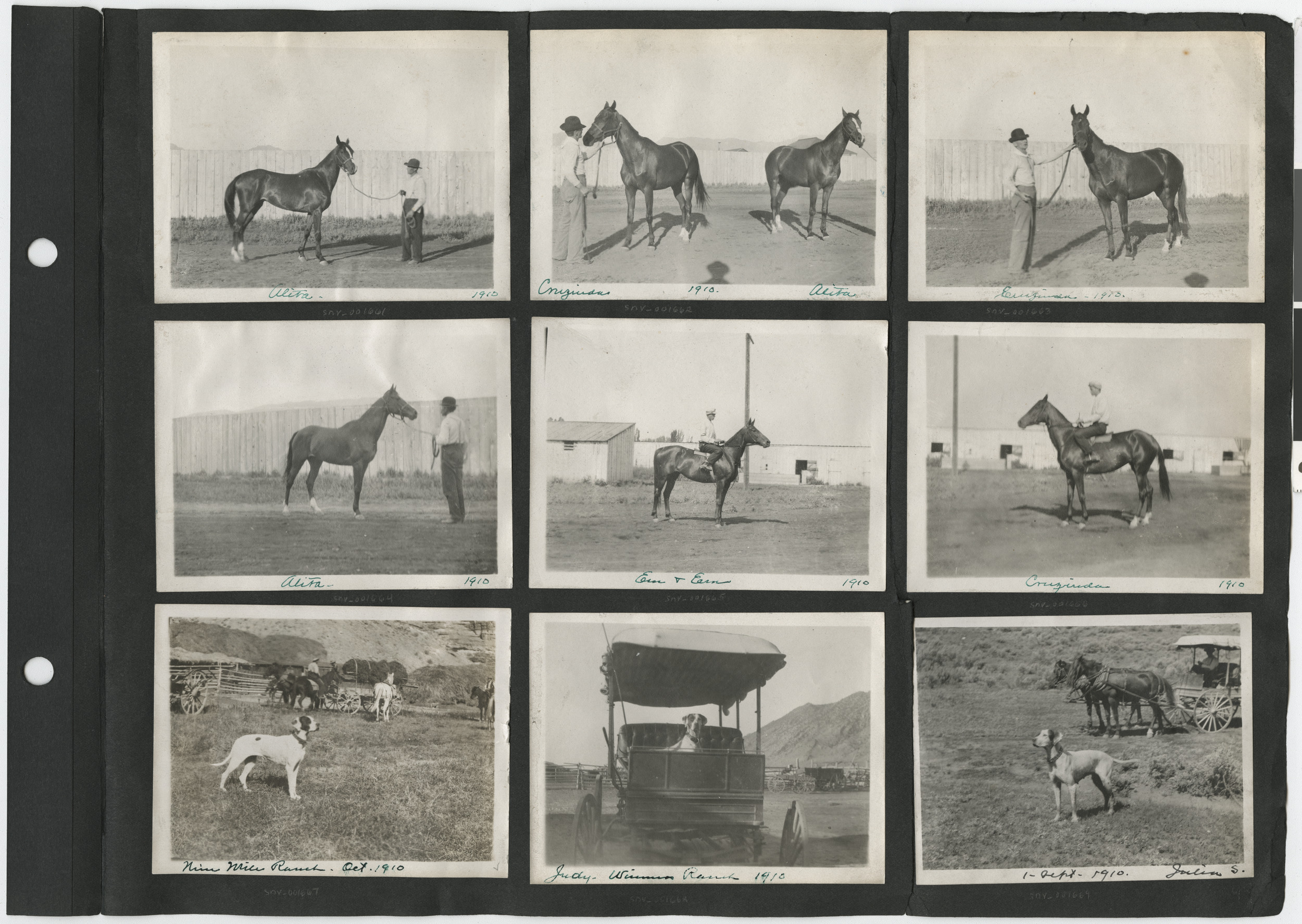 Photograph album 2, Ferron-Bracken Collection, circa 1905-1935, page 9