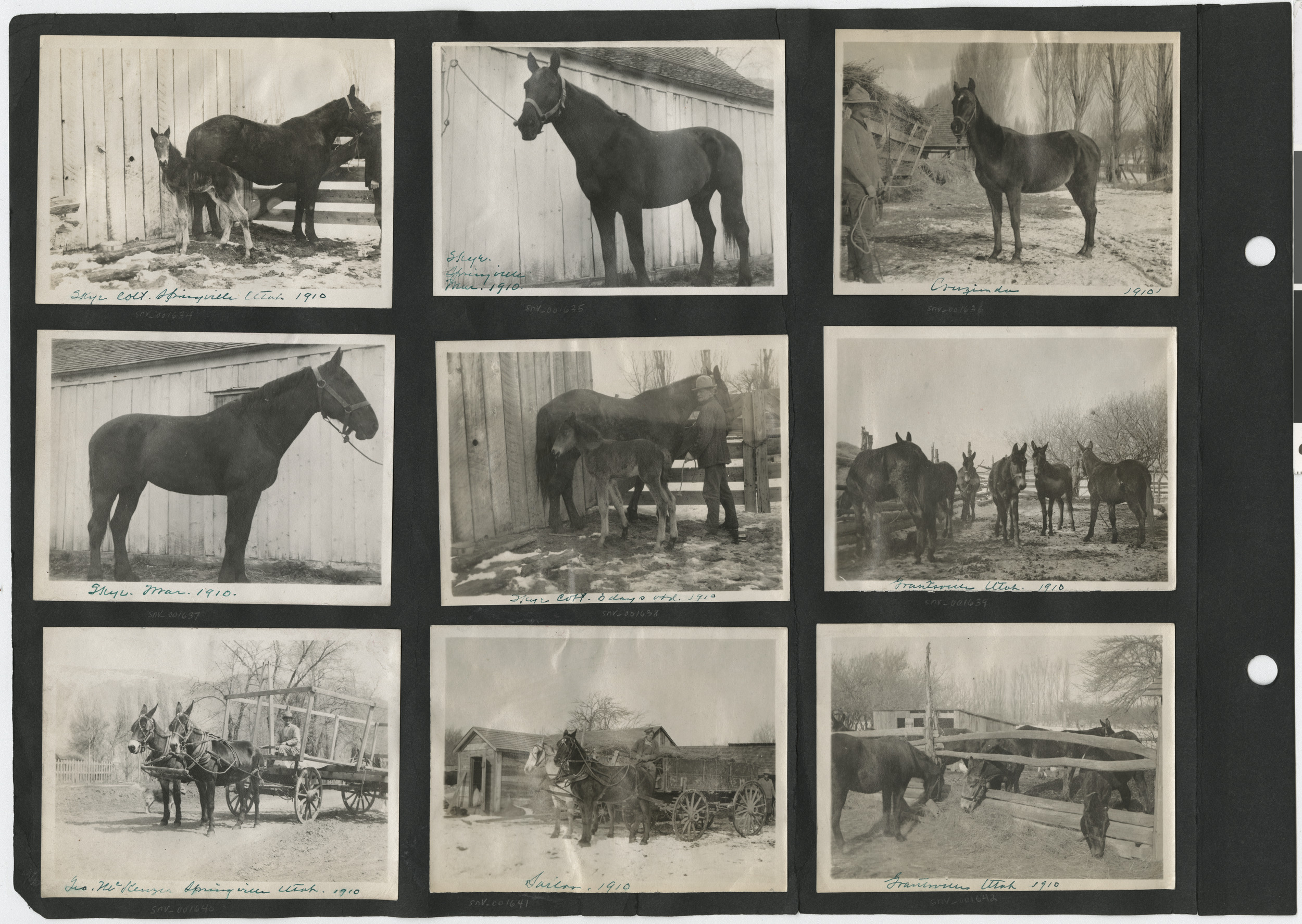 Photograph album 2, Ferron-Bracken Collection, circa 1905-1935, page 30