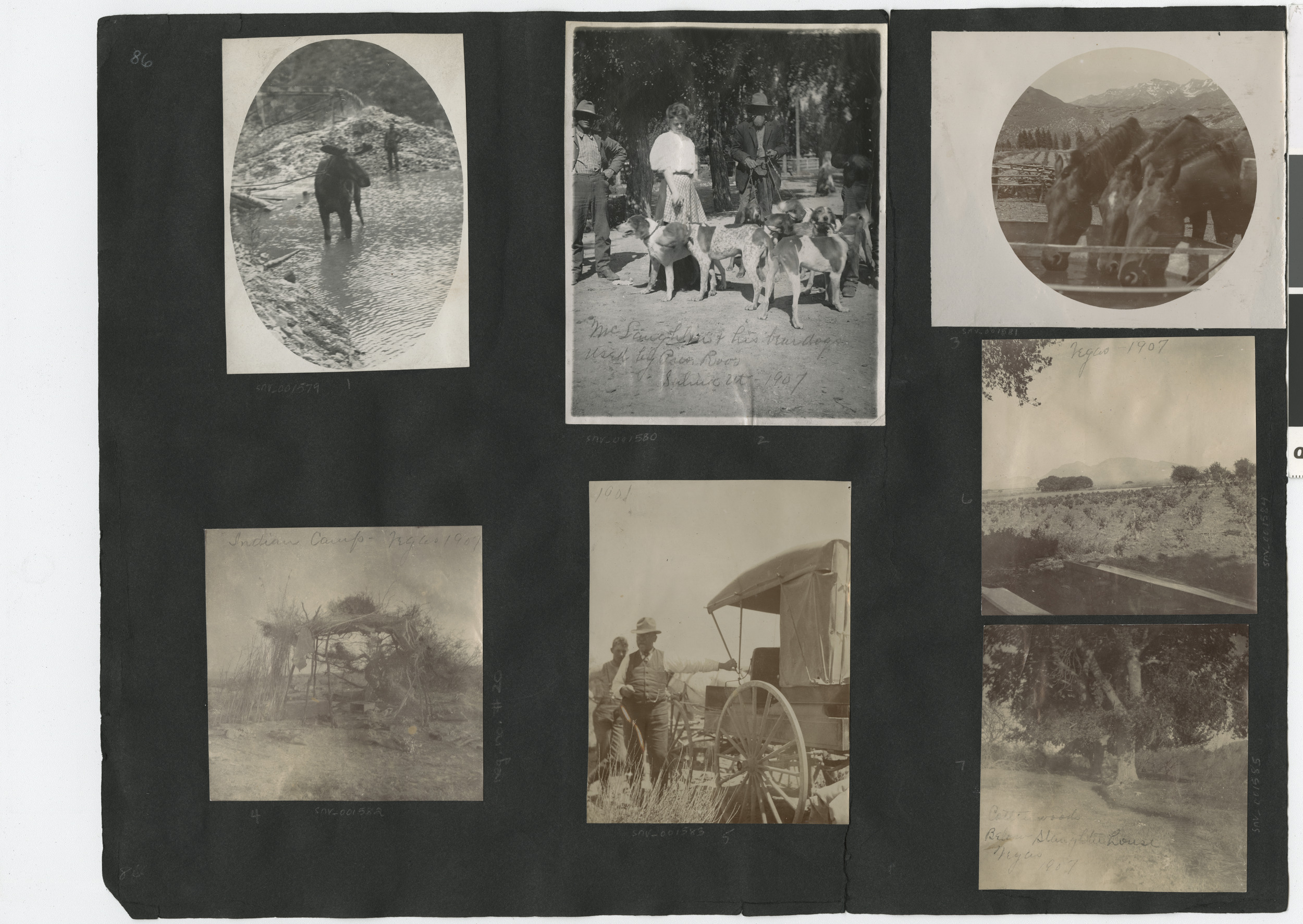 Photograph album 2, Ferron-Bracken Collection, circa 1905-1935, page 37