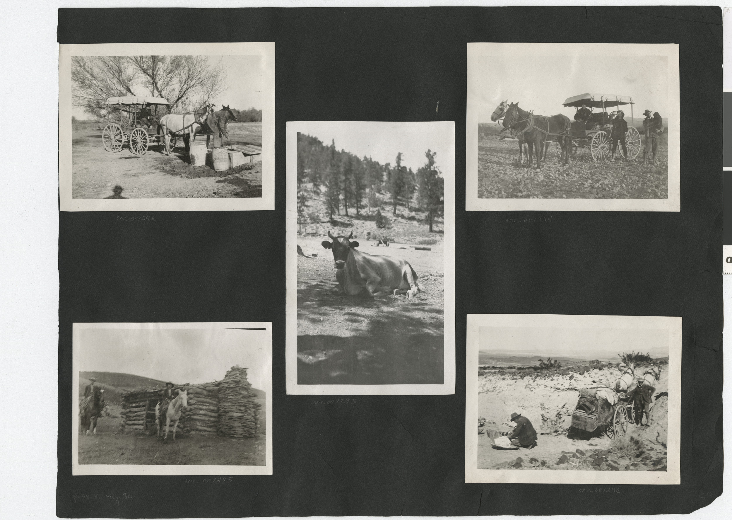 Photograph album 2, Ferron-Bracken Collection, circa 1905-1935, page 55