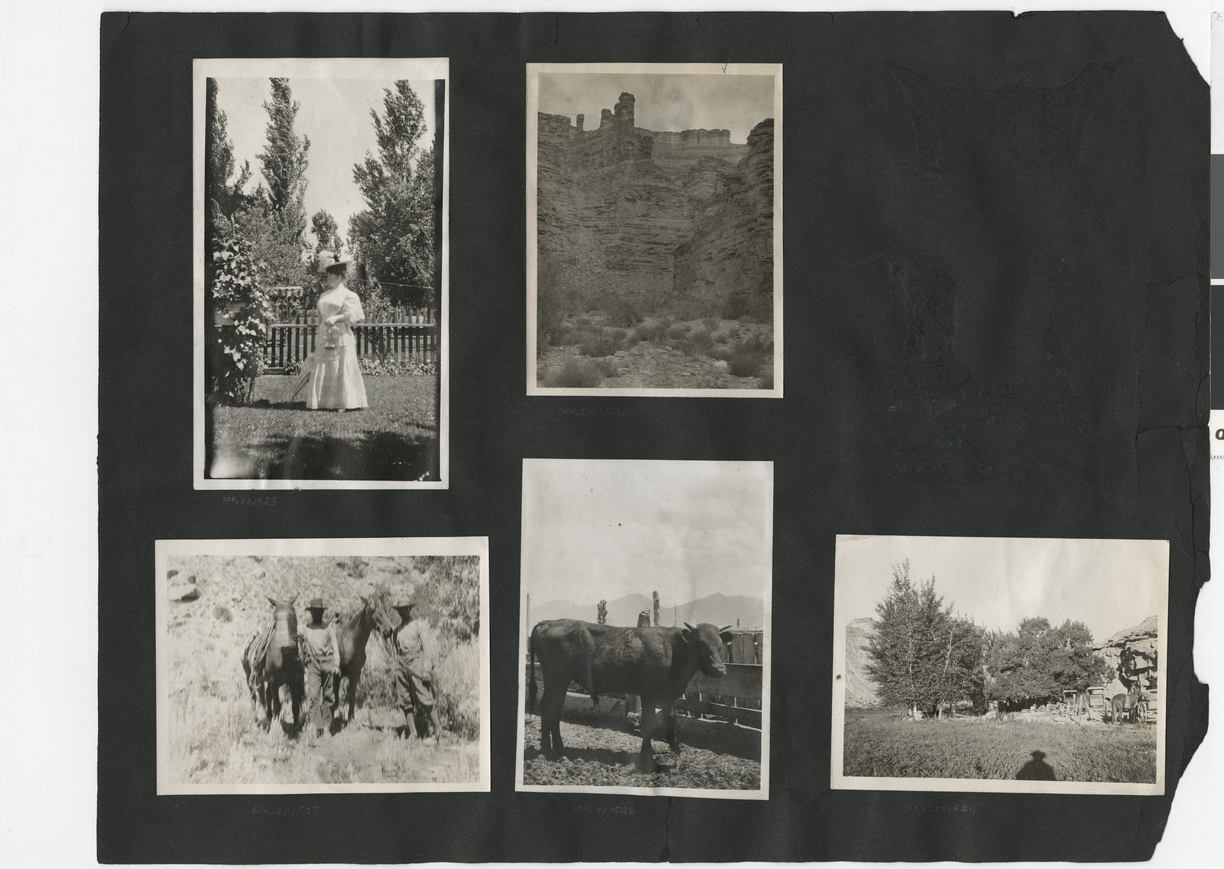 Photograph album 2, Ferron-Bracken Collection, circa 1905-1935, page 58