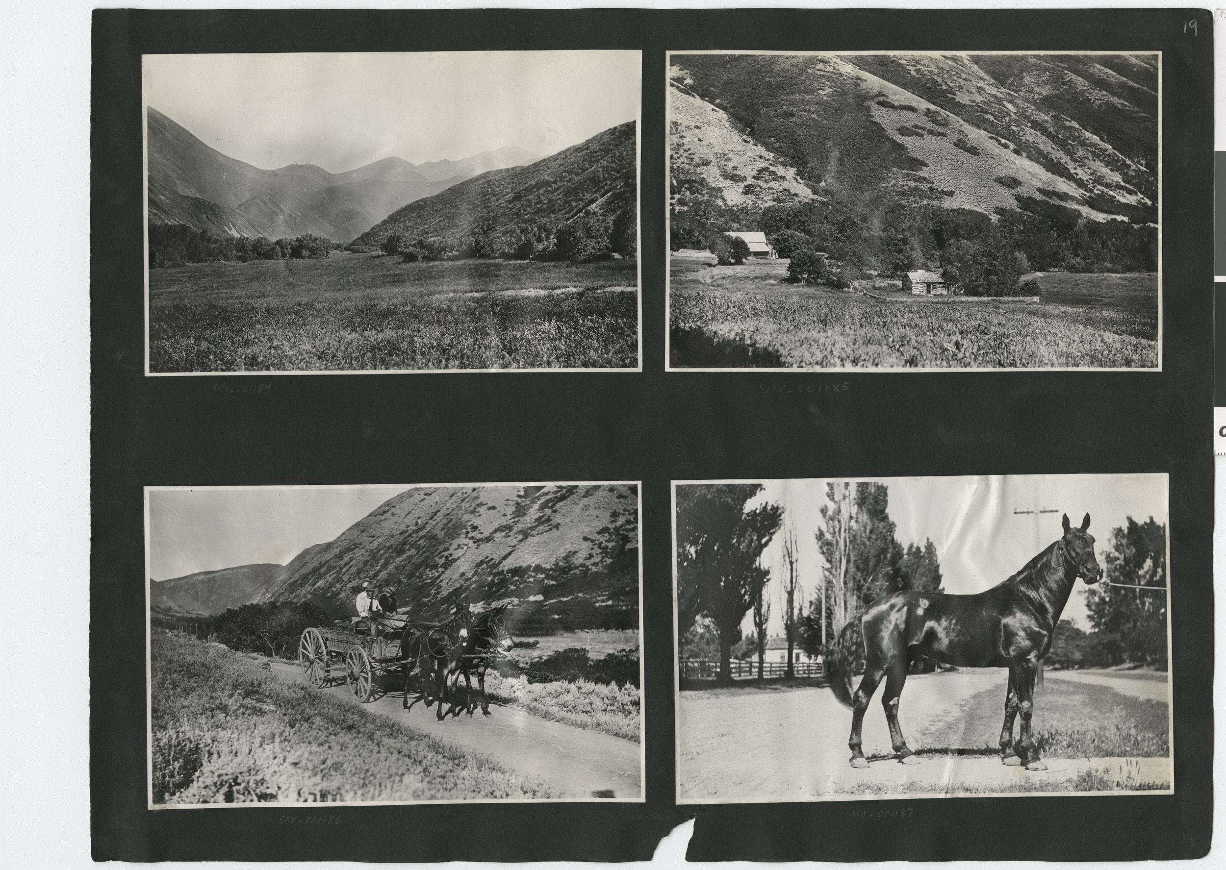 Photograph album 2, Ferron-Bracken Collection, circa 1905-1935, page 73