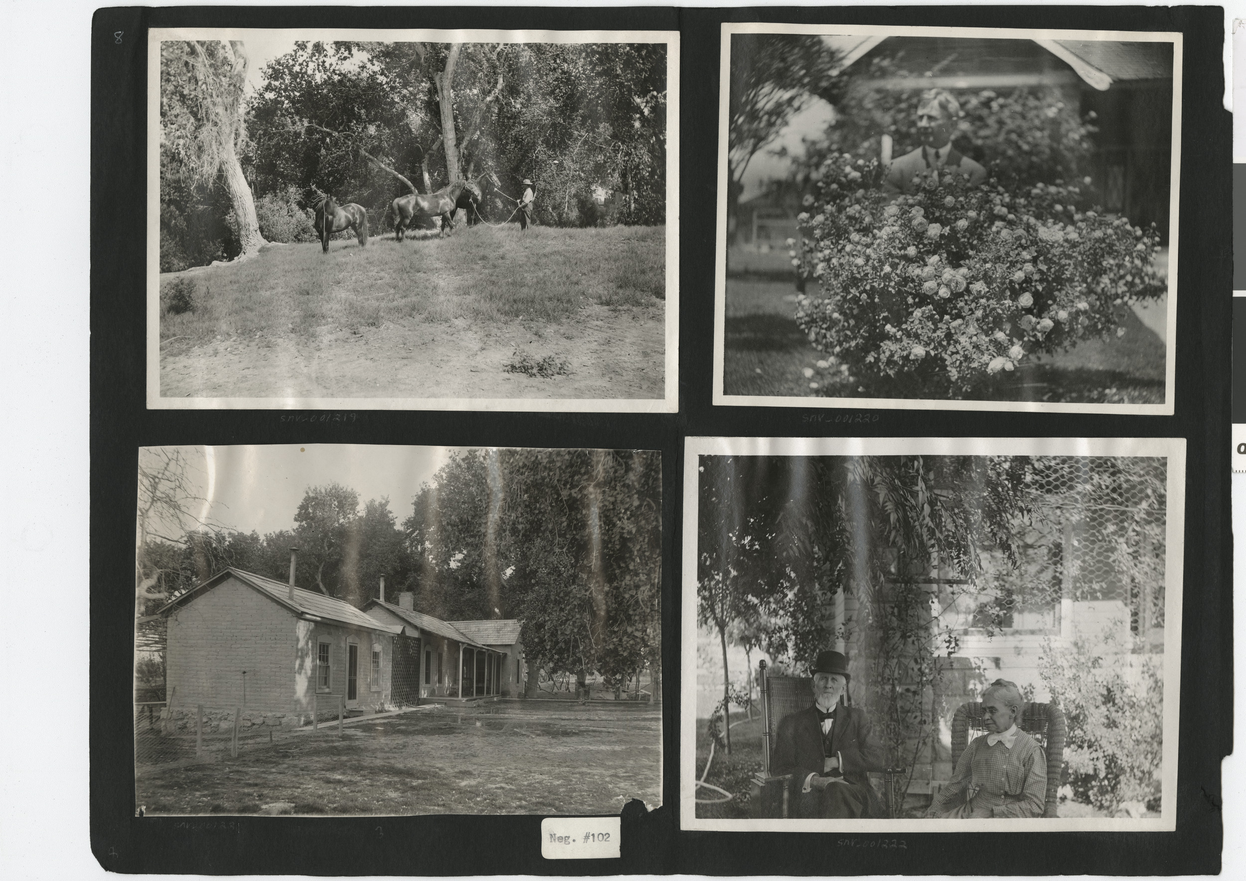 Photograph album 2, Ferron-Bracken Collection, circa 1905-1935, page 85
