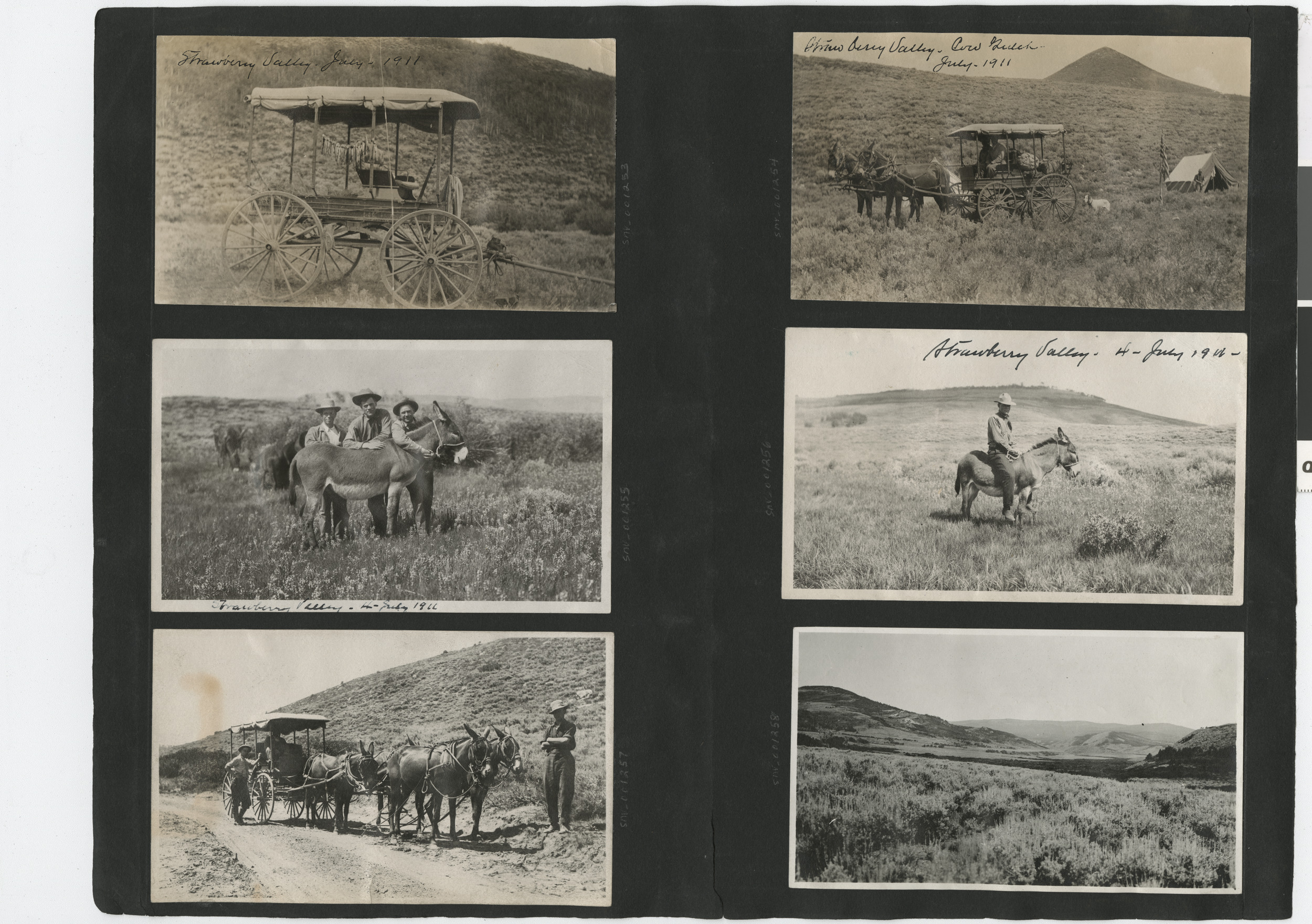 Photograph album 2, Ferron-Bracken Collection, circa 1905-1935, page 96