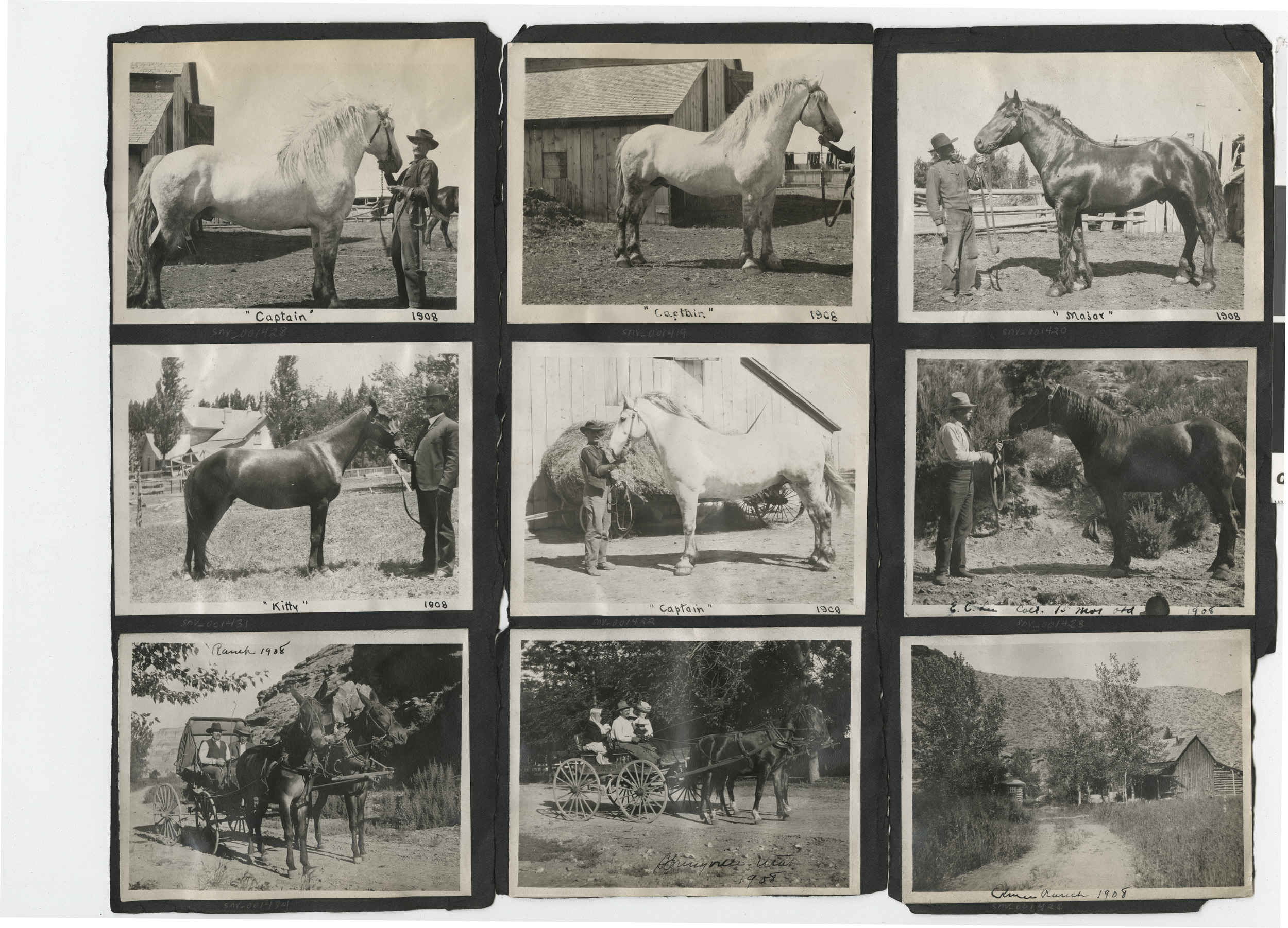 Photograph album 2, Ferron-Bracken Collection, circa 1905-1935, page 99