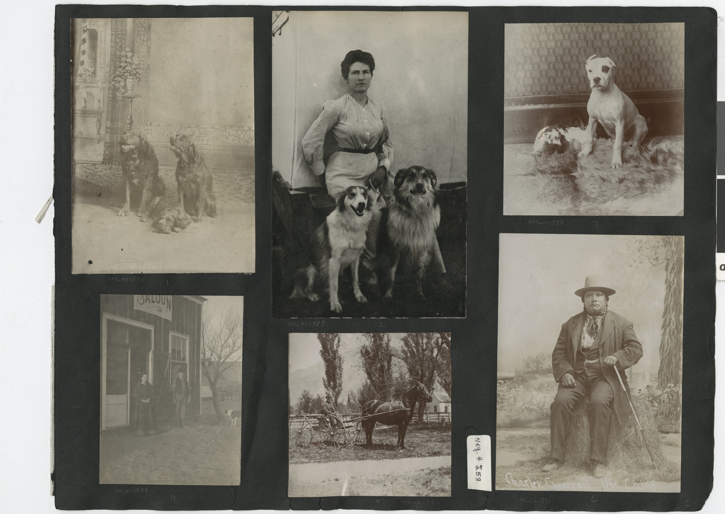 Photograph album 2, Ferron-Bracken Collection, circa 1905-1935, page 109