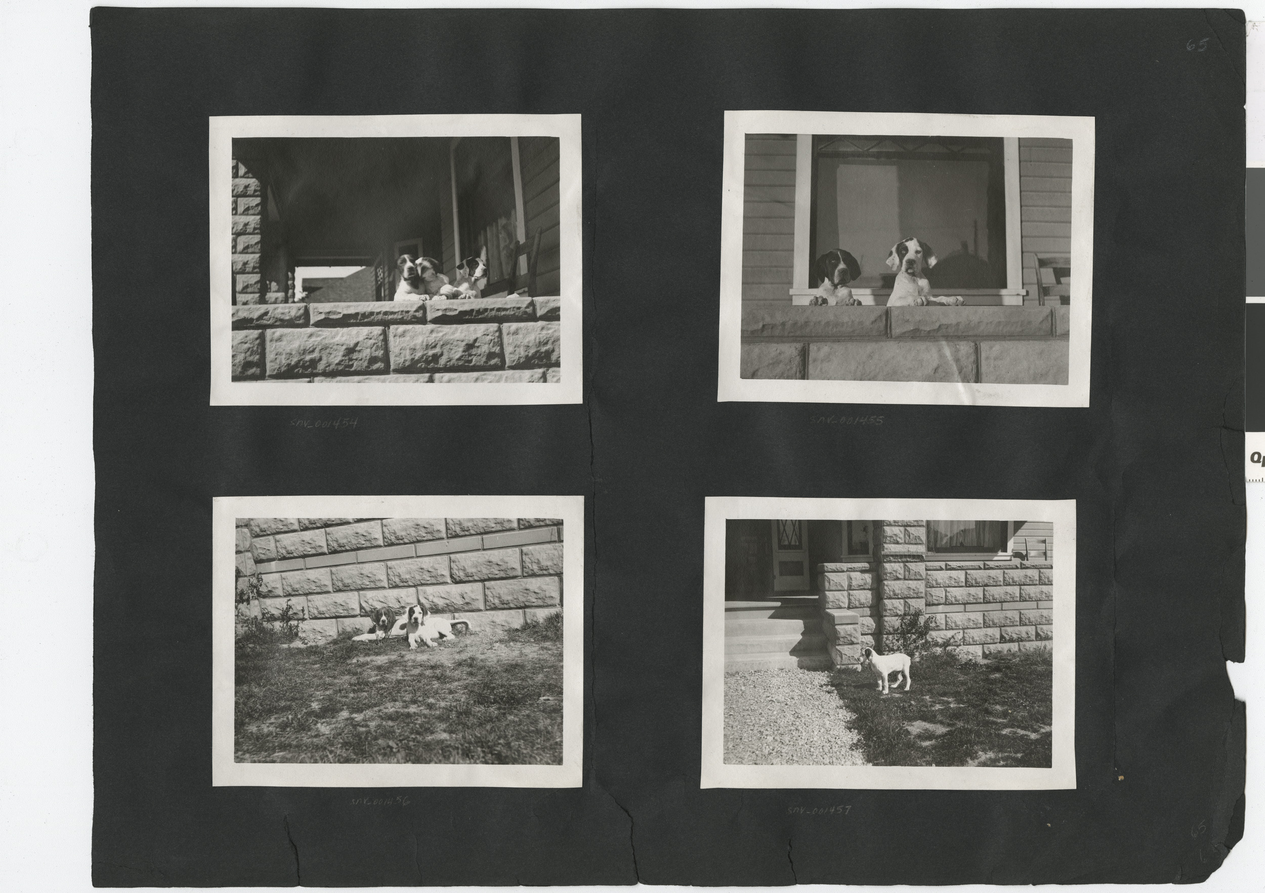 Photograph album 2, Ferron-Bracken Collection, circa 1905-1935, page 111