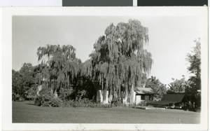 Photograph of Corn Creek Ranch, Nevada, circa 1938