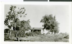 Photograph of Corn Creek Ranch, Nevada, circa 1937