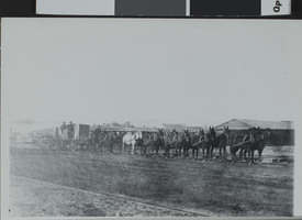 Photograph of ore wagons, 1905