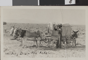Postcard of a man and burrow-drawn wagon, circa early 1900s