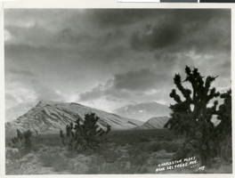 Photograph of Mt. Charleston, Las Vegas, circa 1930s.