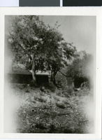 Photograph of a stone cabin, Southern Nevada, circa 1870