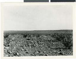 Photograph of desert in Southern Nevada, circa 1920s to 1950s