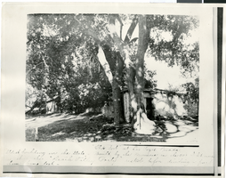 Photograph of an old Mormon fort remnant, circa 1930s to 1960s