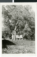 Photograph of a structure at Kiel Ranch, circa early 1900s