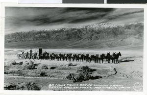Postcard of a mule team wagon in Death Valley, California, circa 1930s