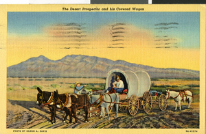Postcard of prospector in a wagon, circa early 1900s