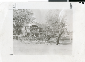 Photograph of Mary Belle Park in a horse drawn carriage, circa late 1800s to early 1900s