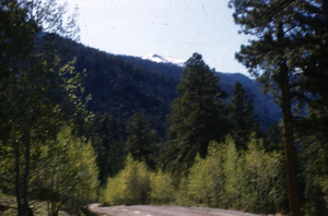 Slide of Charleston Peak, Nevada, June 1955