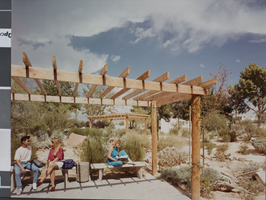 Photograph of the Desert Landscape Garden, University of Nevada, Las Vegas, circa 1980s