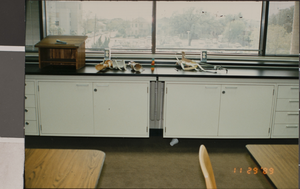 Photograph of a health science classroom, University of Nevada, Las Vegas, circa 1991-1992