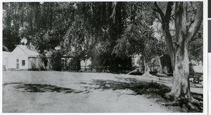 Photograph of the Old Ranch tent housing, Las Vegas, 1905